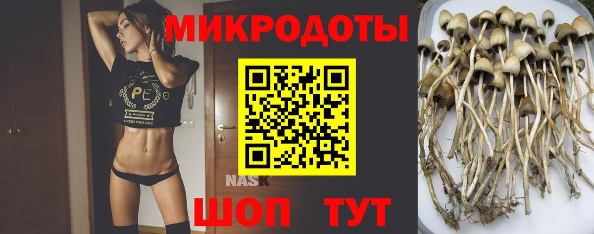 Галлюциногенные грибы Magic Shrooms  Галлюциногенные грибы GOLDEN TEACHER  Вход с VPN  Димитровград 