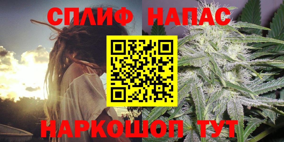 Бошки Шишки марихуана Димитровград
